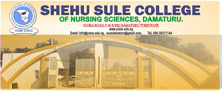 Shehu Sule College of Nursing Sciences, Damaturu