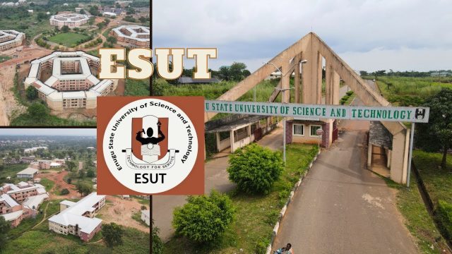 Enugu State University