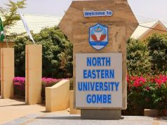 North-Eastern University (NEU) Matriculation 2025/2026: 450 Students and 50% Scholarship for Science Courses North Eastern University (NEU)