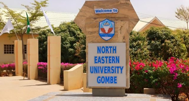 North Eastern University (NEU)